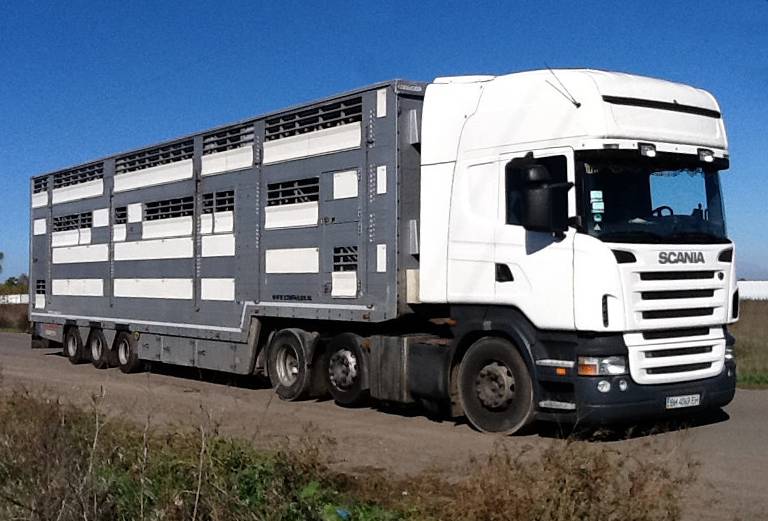 Прицеп для перевозки крупного рогатого скота из Брянска в почепскую район пос.рощу