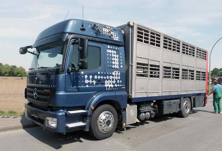Услуги по перевозке животного из Брянска в Нижневартовск